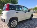 Fiat Panda 0.9 t.air t. natural power Young 80cv E6 Bianco - thumbnail 2