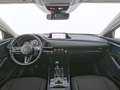 Mazda CX-30 Selection Navi|Kamera|CarPlay|Matrix-LED Rot - thumbnail 15