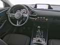 Mazda CX-30 Selection Navi|Kamera|CarPlay|Matrix-LED Rot - thumbnail 16