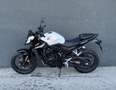 Honda Hornet Wit - thumbnail 4