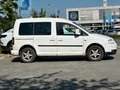 Volkswagen Caddy Life Familien Caddy*Klima*1,2t AHK* Blau - thumbnail 3