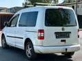 Volkswagen Caddy Life Familien Caddy*Klima*1,2t AHK* Blau - thumbnail 5