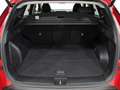 Hyundai TUCSON 1.6 TGDI 110kW (150CV) 48V Tecno 2C Rojo - thumbnail 9