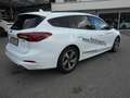 Ford Focus Traveller ST-Line Hybrid Bianco - thumbnail 5