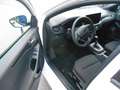 Ford Focus Traveller ST-Line Hybrid Bianco - thumbnail 12