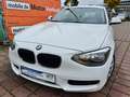 BMW 114 1.6 #STEUERK. NEU#ÖL SERVICE NEU#SCHECKHEFT#SHZ Biały - thumbnail 1