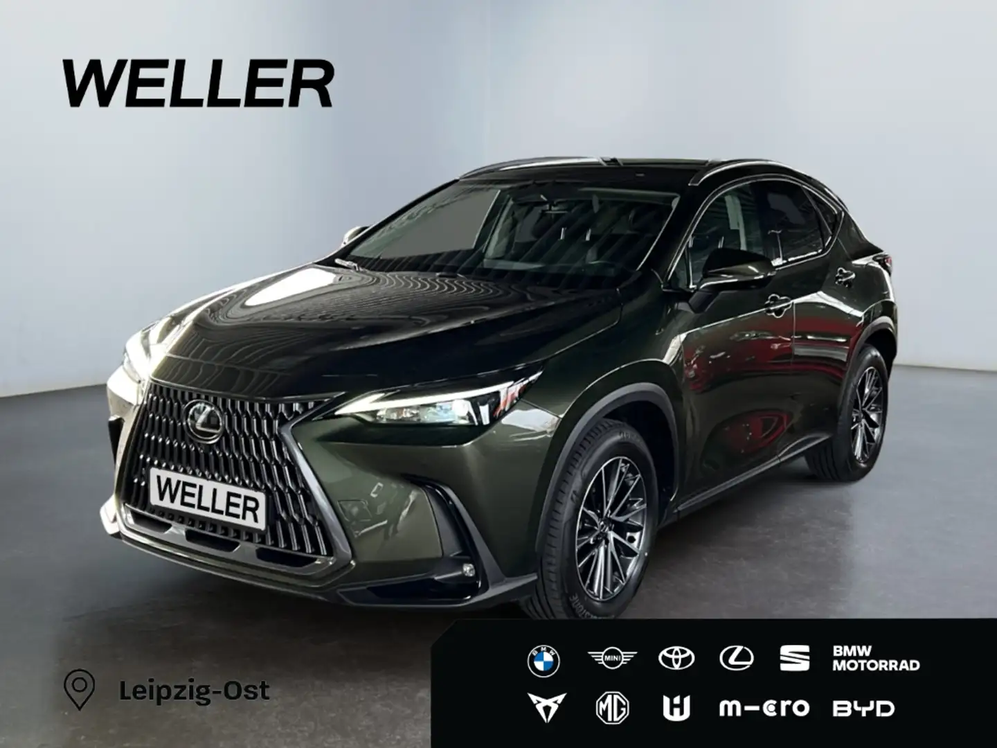 Lexus E-FOUR Executive Line *HUD*Leder*360Grad* Grün - 1