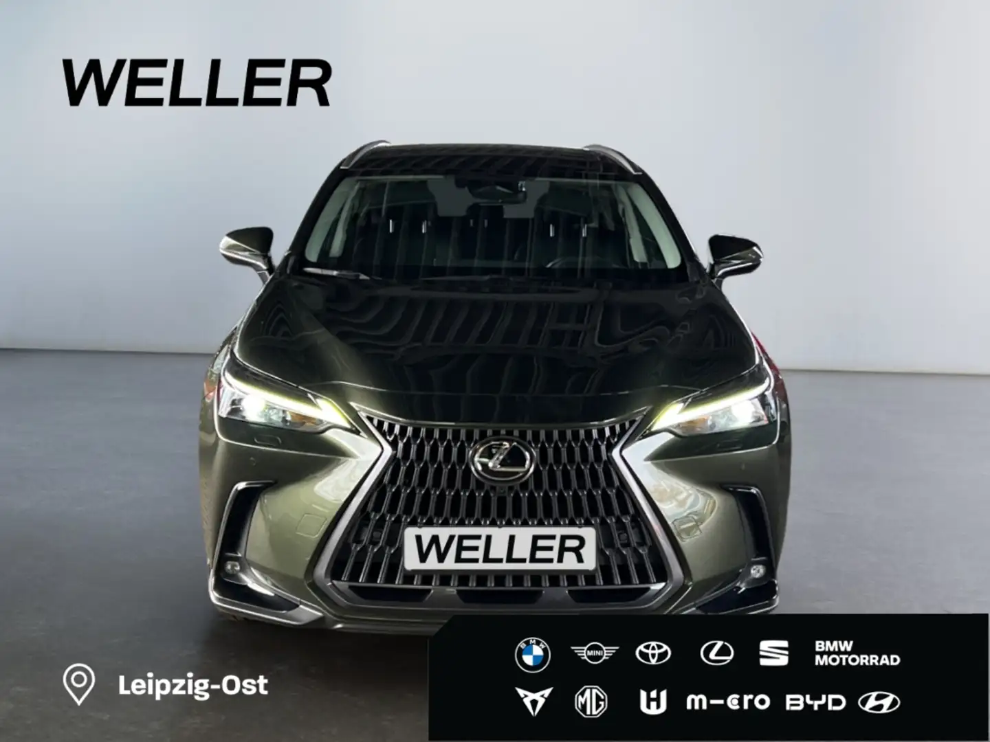 Lexus E-FOUR Executive Line *HUD*Leder*360Grad* Grün - 2