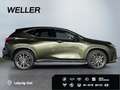 Lexus E-FOUR Executive Line *HUD*Leder*360Grad* Grün - thumbnail 10