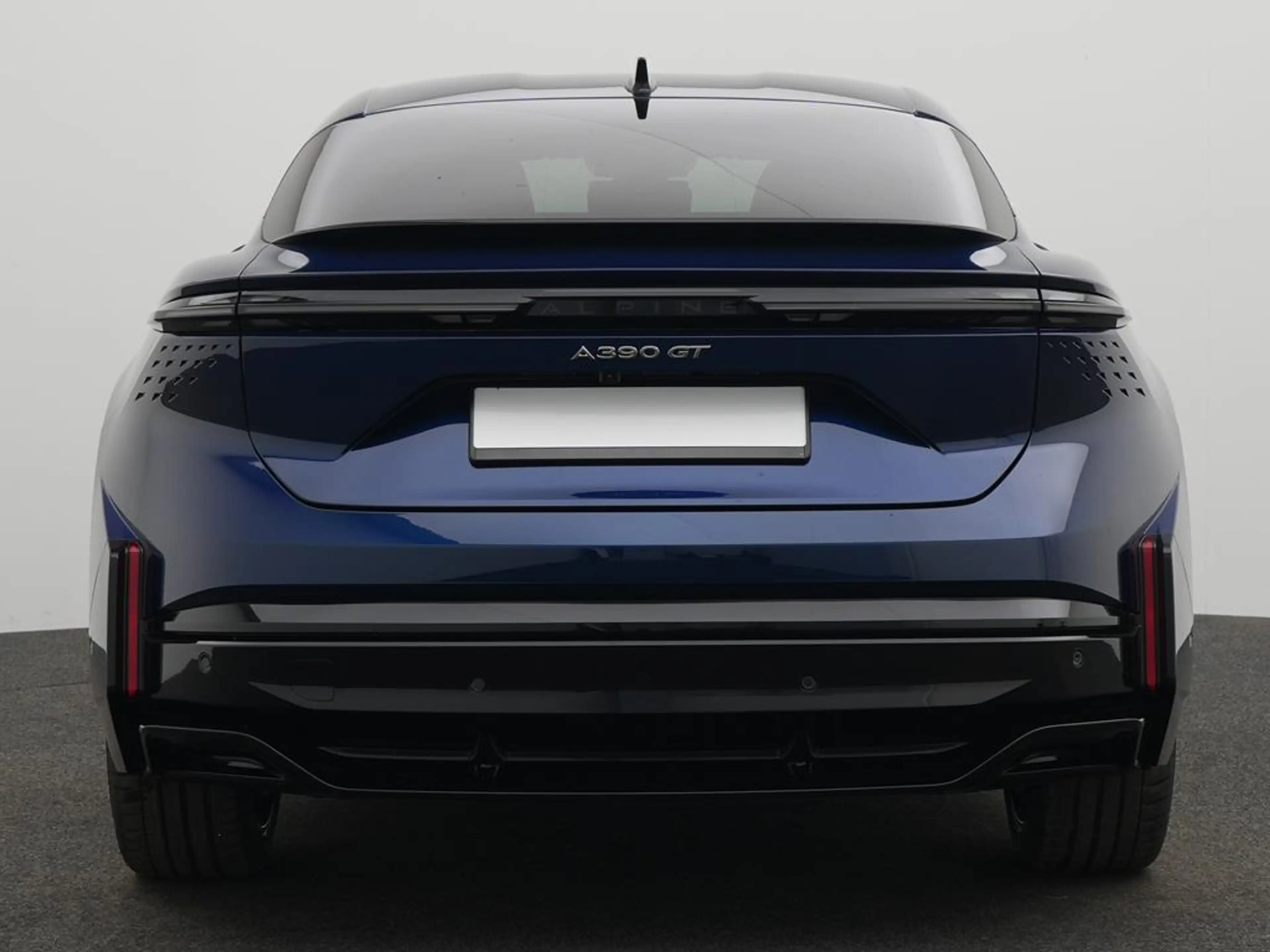 Alpine A390 GT *BLEKER GRUPPE* — photo 4