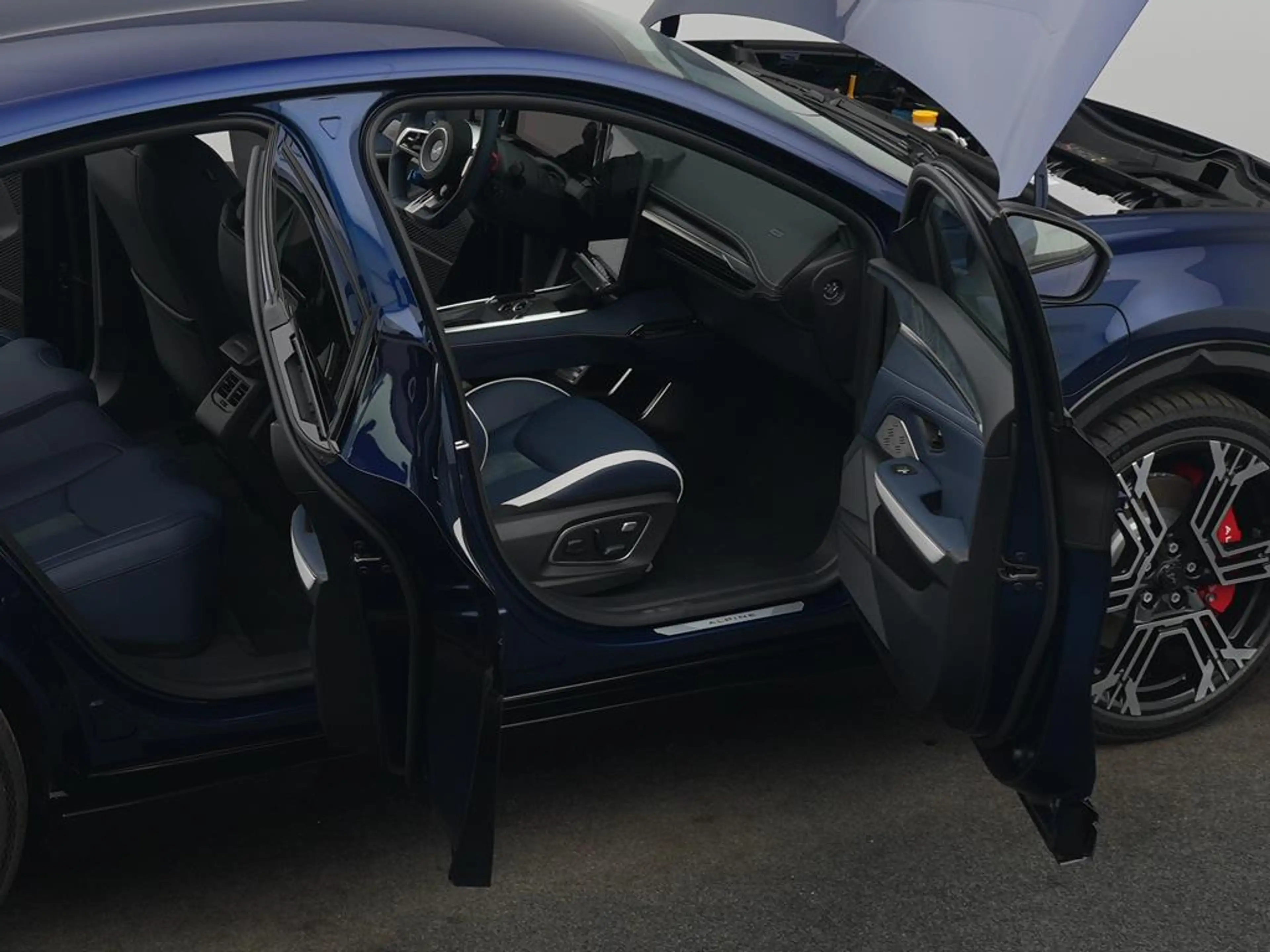 Alpine A390 GT *BLEKER GRUPPE* — photo 12