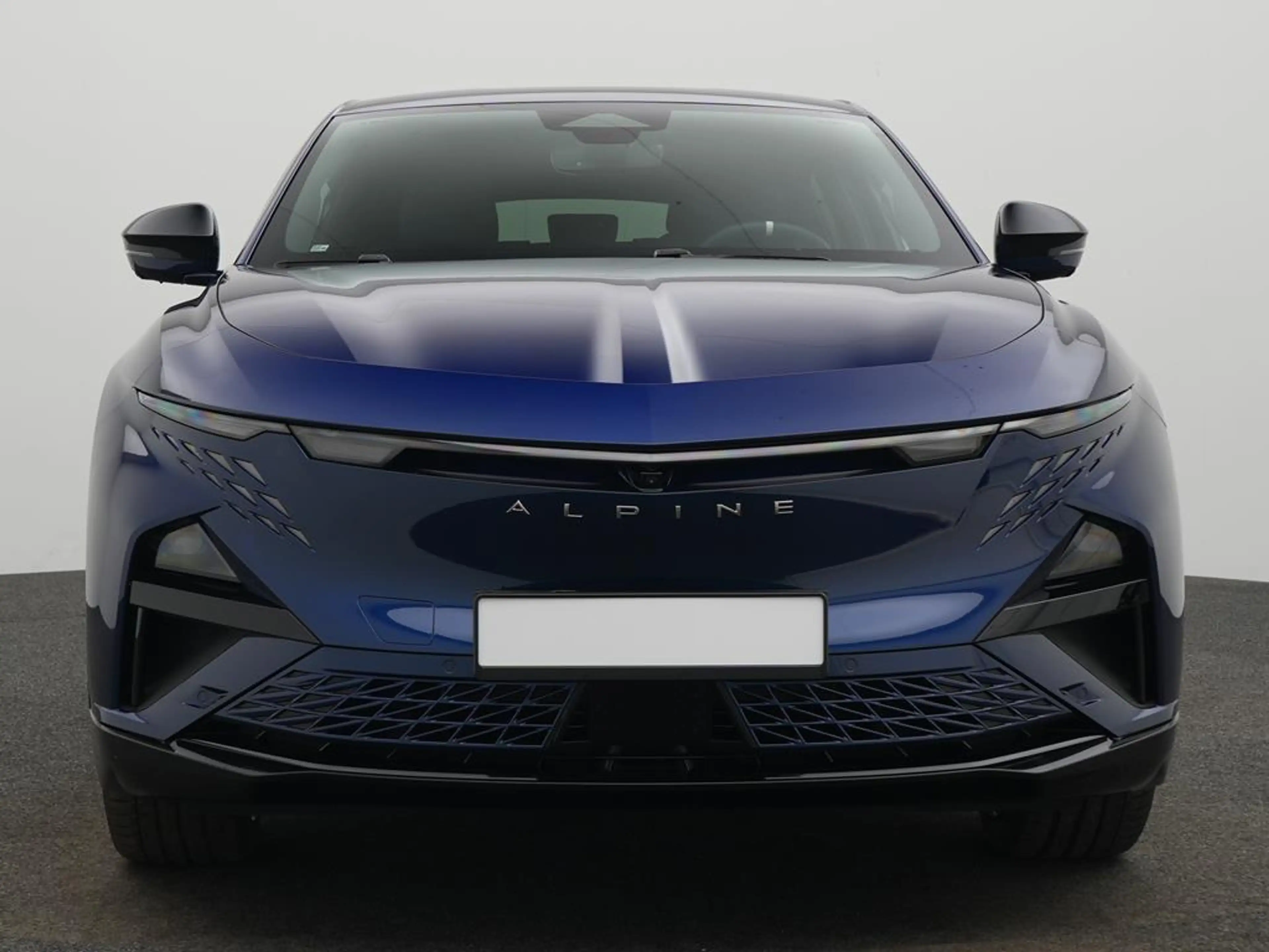 Alpine A390 GT *BLEKER GRUPPE* — photo 3