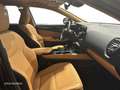 Lexus NX 200t EXECUTIVE+ Verde - thumbnail 6