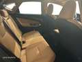 Lexus NX 200t EXECUTIVE+ Verde - thumbnail 7