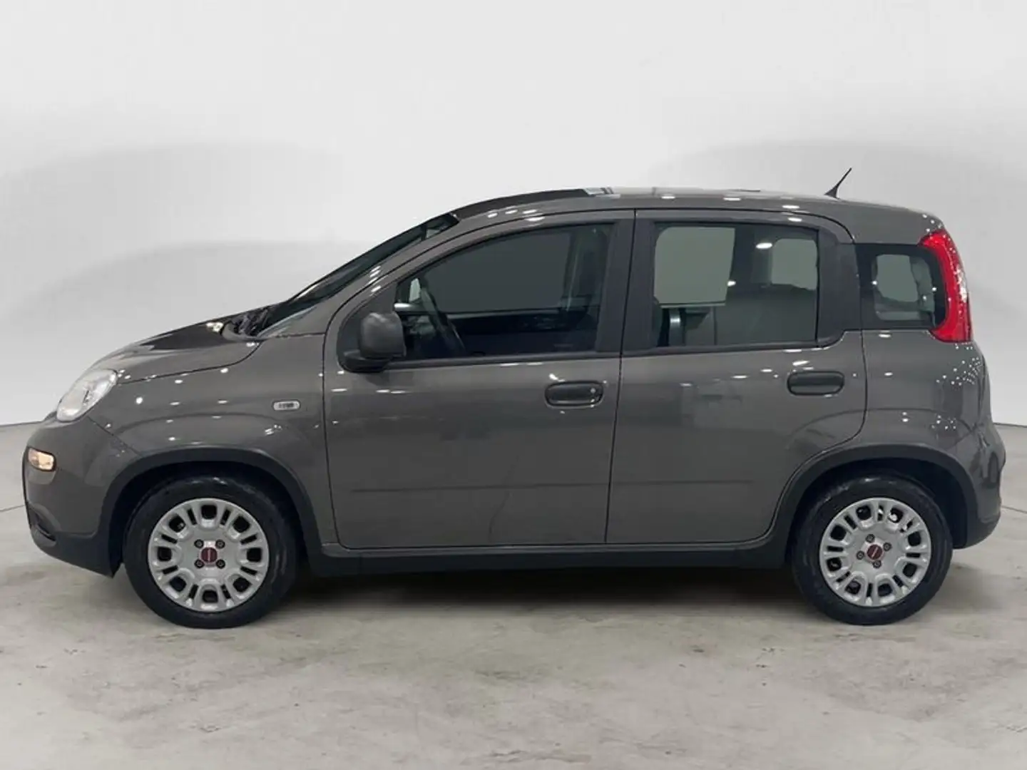 Fiat Panda 1.0 FireFly S&S Hybrid City Cross Grigio - 2