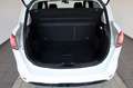Ford B-Max B-MAX Colourline SH,PDC,8 fach bereift Blanc - thumbnail 21