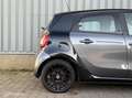 smart forFour 1.0 Passion | 2X Panorama Dak | Climate Grau - thumbnail 22