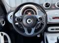 smart forFour 1.0 Passion | 2X Panorama Dak | Climate Grau - thumbnail 18