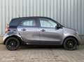 smart forFour 1.0 Passion | 2X Panorama Dak | Climate Grau - thumbnail 6