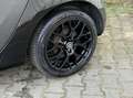 smart forFour 1.0 Passion | 2X Panorama Dak | Climate Grau - thumbnail 12