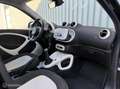 smart forFour 1.0 Passion | 2X Panorama Dak | Climate Grau - thumbnail 20