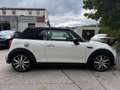 MINI Cooper S Cabrio AUT~Leder~PDC~DAB~Carplay~ Blanc - thumbnail 6