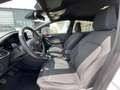 Ford Fiesta 1.0 EcoBoost Active AHK|B&O|Winter-Paket Weiß - thumbnail 11