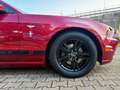 Ford Mustang Ford Mustang 3.7 V6 Rosso - thumbnail 14