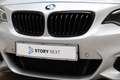 BMW 228 2 Serie Cabrio 228i High Executive M Sport Pakket Gris - thumbnail 10