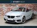 BMW 228 2 Serie Cabrio 228i High Executive M Sport Pakket Gris - thumbnail 1