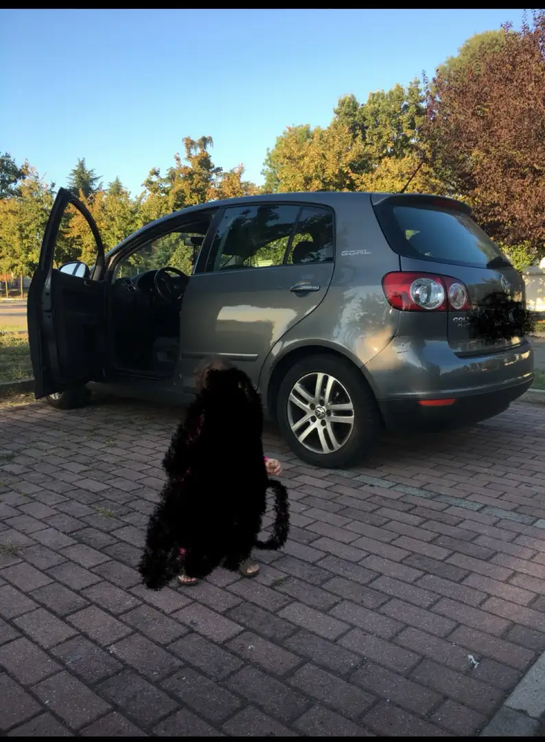 Volkswagen Golf Plus 1.9 tdi Comfortline - 1