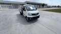 Piaggio Porter NP6 TW LR GPL 3250/3080 Ribaltabile TOP - V Blanco - thumbnail 1