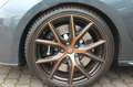 SEAT Leon ST Cupra R 300 4Drive Keyless Beats Kamera Grau - thumbnail 6