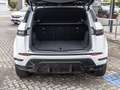 Land Rover Range Rover Evoque D165 Dynamic SE Weiß - thumbnail 10