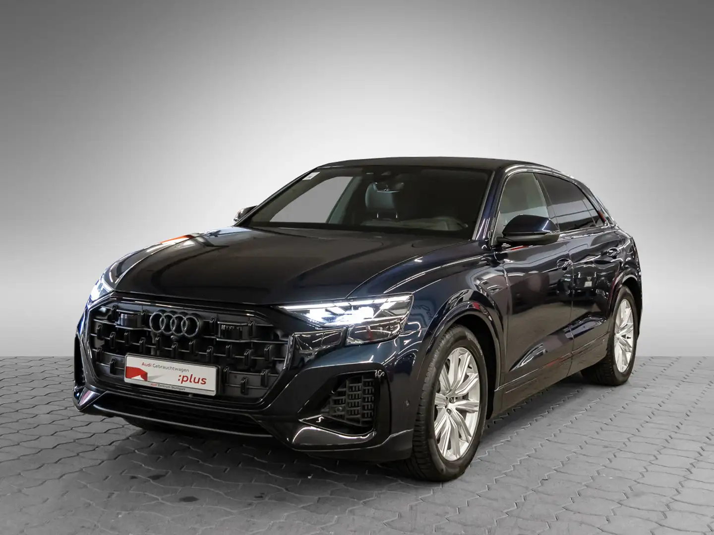 Audi Q8 55 TFSI e quattro tiptronic Matrix AIR AHK Blau - 2