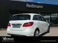 Mercedes-Benz B 180 d Style Navi/Keyless Go Startanlage/Klima Weiß - thumbnail 4
