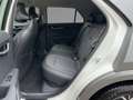Kia Niro EV +LED+KAMERA+SITZHEIZ.+ Weiß - thumbnail 10