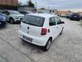 Volkswagen Fox Fox 1.2 60cv euro5 Weiß - thumbnail 16