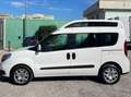 Fiat Doblo NEW 1.6 MJ COMBI XL AUTOVET. CON PEDANA POSTERIORE Bianco - thumbnail 6