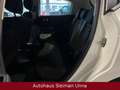 Citroen C3 Live/1,2/Tüv-Neu/ 1-Hand/Garantie Weiß - thumbnail 17