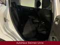 Citroen C3 Live/1,2/Tüv-Neu/ 1-Hand/Garantie Weiß - thumbnail 16
