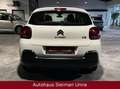 Citroen C3 Live/1,2/Tüv-Neu/ 1-Hand/Garantie Weiß - thumbnail 6