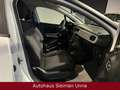 Citroen C3 Live/1,2/Tüv-Neu/ 1-Hand/Garantie Weiß - thumbnail 13