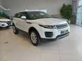 Land Rover Range Rover Evoque 2.0TD4 HSE 4WD 150 Wit - thumbnail 2