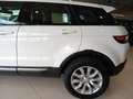 Land Rover Range Rover Evoque 2.0TD4 HSE 4WD 150 Wit - thumbnail 19