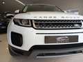 Land Rover Range Rover Evoque 2.0TD4 HSE 4WD 150 Wit - thumbnail 21