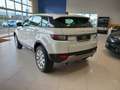 Land Rover Range Rover Evoque 2.0TD4 HSE 4WD 150 Wit - thumbnail 4