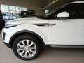 Land Rover Range Rover Evoque 2.0TD4 HSE 4WD 150 Wit - thumbnail 18
