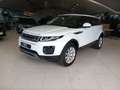Land Rover Range Rover Evoque 2.0TD4 HSE 4WD 150 Wit - thumbnail 1