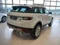 Land Rover Range Rover Evoque 2.0TD4 HSE 4WD 150 Wit - thumbnail 5